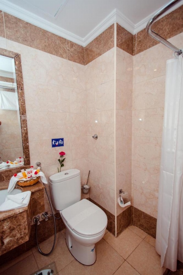 Sama Al Deafah Hotel image 29